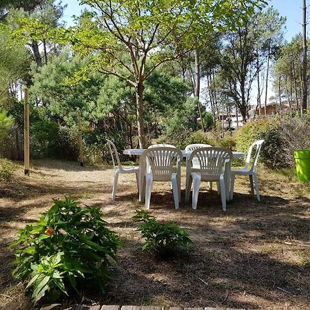 Maison A 300M De La Plage Villa Moliets-et-Maa Kültér fotó
